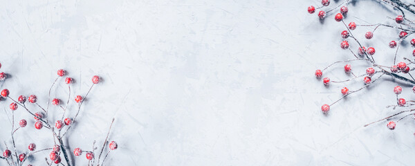 Christmas background of snow-covered branches with berries. Flat lay, top view. Copy space for text.