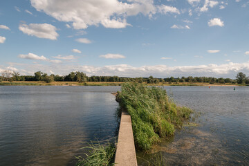 Fr&uuml;hling an der der Oder in Brandenburg in Deutschland