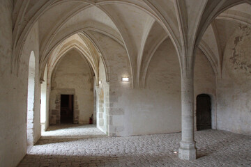 Fototapeta na wymiar medieval castle in châteaudun (france)