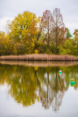 Fototapeta na wymiar Colorful autumn trees symmetrical reflected in lake, buoy on water