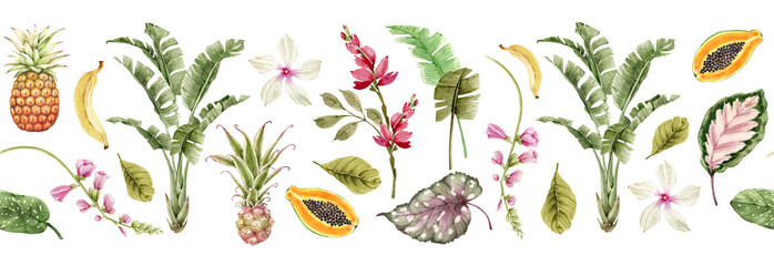Botanical border with tropical flowers, plants and leaves .Illustration watercolor © Lana