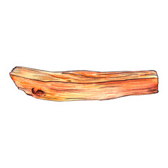 Palo santo aromatic stick contains guaiac oil. Part of a tree native to South America. The element of the holy tree for meditation, healing, wellness, aromatherapy. Watercolor illustration
