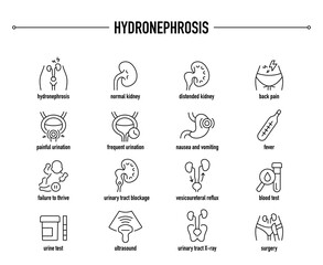 Hydronephrosis symptoms, diagnostic and treatment vector icon set. Line editable medical icons.