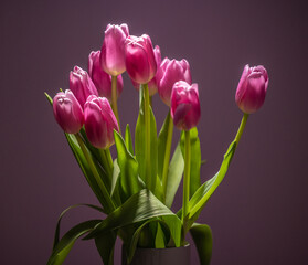 Bouquet of pink tulips in fron t of a pink background.