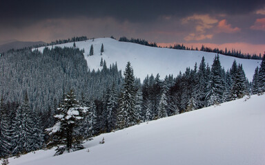 Landscape in the winter in the mountains at sunset. View of dramatic clouds and snowy wooded slopes.
