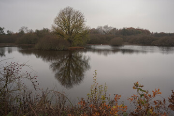 View over a dune lake in Quackjeswater, a nature reserve on Voorne-Putten in the Netherlands