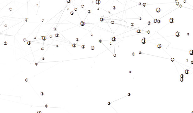 Network - Powered by Adobe