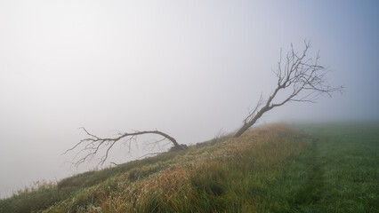 morgens am fluss oder in brandenburg in deutschland