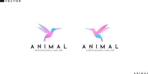 Abstract hummingbird logo. Colorful birds