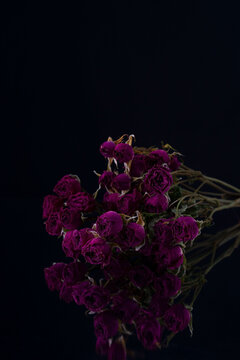 bright purple small flowers dry roses on black © Алексей Доненко