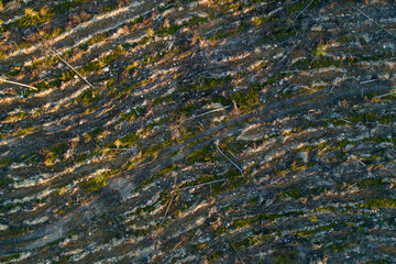 An aerial of a mineralized clear-cut area in Hossa, Northern FInland	