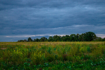 clouds over the field