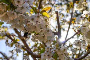 Beautiful Impressions of the island Sylt in Germany