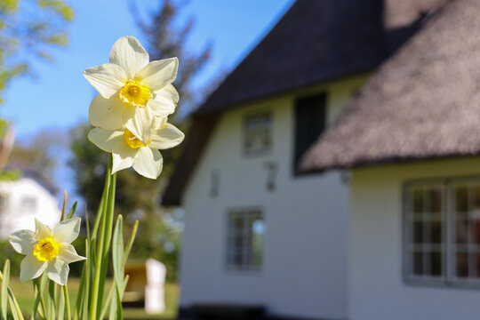 Beautiful Impressions of the island Sylt in Germany