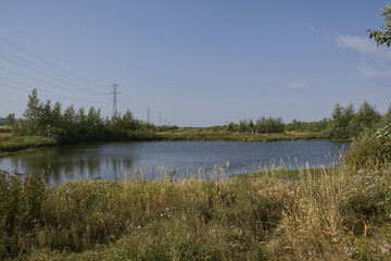 Pylypow Wetlands on a Late Summer Day