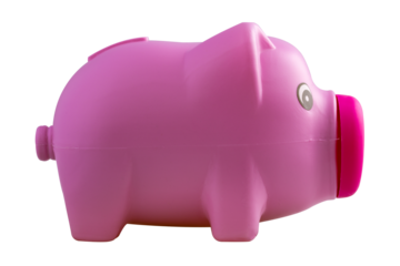 pink piggy bank