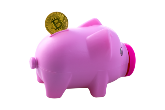 pink piggy bank with bitcoin