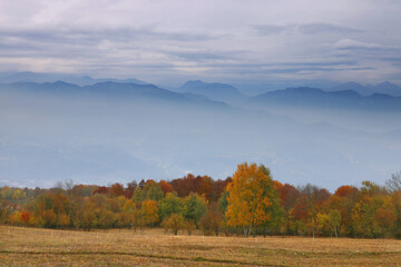 The Bergamasque Alps or Bergamo Alps, Alpi Orobie are a mountain range in the Italian Alps, located in northern Lombardy, Italy, Europe