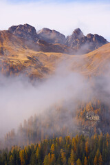  Autumn alpine landscape with colorful larch forest and beautiful mountains in background, Dolomites, Italy, Europe