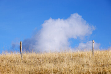 Autumn landscape of Seiser Alm (Alpe di Siusi) in South Tyrol, Italy, Europe