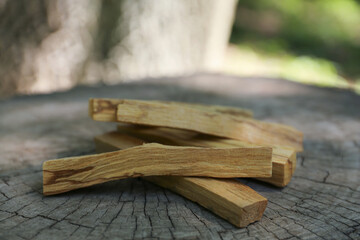 Palo santo sticks on wooden stump outdoors, closeup