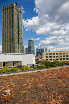 Frankfurt am Main