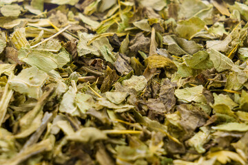 Dried milk thistle leaves for liver health close-up