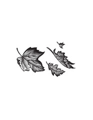 Obraz premium leaves falling