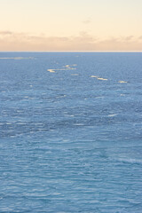Winter Arctic seascape. View of the ice-covered sea. Freezing water. Thin fresh ice on the surface of the water. Cold frosty weather. Problems of climate change. Natural background for the design.