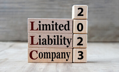 LIMITED LIABILITY COMPANY 2023 - words on wooden blocks on gray background