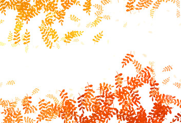 Obraz premium Light Red vector doodle backdrop with leaves.