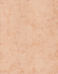 Abstract watercolor painting texture. Brushed and splashed surface, digital content. Copy space empty background for creative projects. Brown and beige color. 