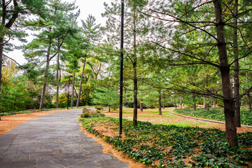 Tree-lined path at the Lyndon Baines Johnson Memorial Grove in autumn