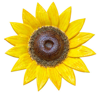 Beautiful ceramic sunflower replica. Released for picture montages.