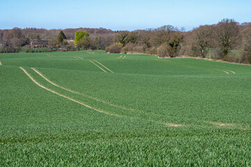Spuren auf einem Feld
