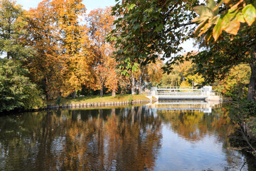 Fototapeta premium Picturesque view of river and trees in beautiful park. Autumn season