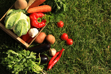 Different fresh ripe vegetables on green grass, flat lay. Space for text