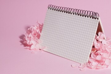 Beautiful hortensia flowers and notebook on pink background. Space for text
