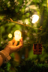 christmas tree, celebration decoration season, ornament holiday, christmas tree, gift december.