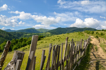 Wooden fence along a lush green grassy meadow near the mountain road in the Carpathians