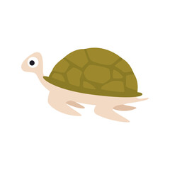 Sea turtle kid vector illustration isolated on transparent png