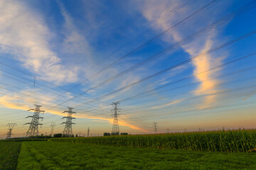 Fototapeta na wymiar High voltage power grid, in the sunset