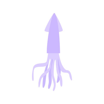 Squid kid vector illustration isolated on transparent png