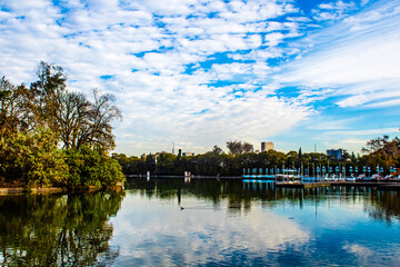 lake in park in a city, reflection in the water of beautiful sky , lake of chapultepec in mexico city 