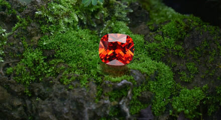 ruby, sapphire, jewelry, expensive, luxury,