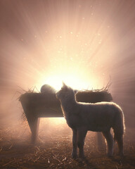 Baby lamb with baby Jesus - 551685897