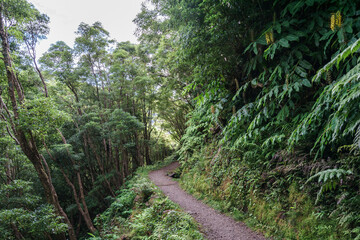 Panorama from flores island, Azores