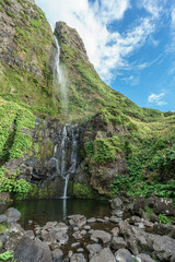 Poco do Bacalhau, flores island