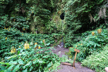 Obraz premium Janela do inferno trail on azores