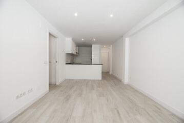 Empty living room of a house with light colored laminate flooring, white kitchen island and black worktop and integrated spotlights in the plaster ceiling
